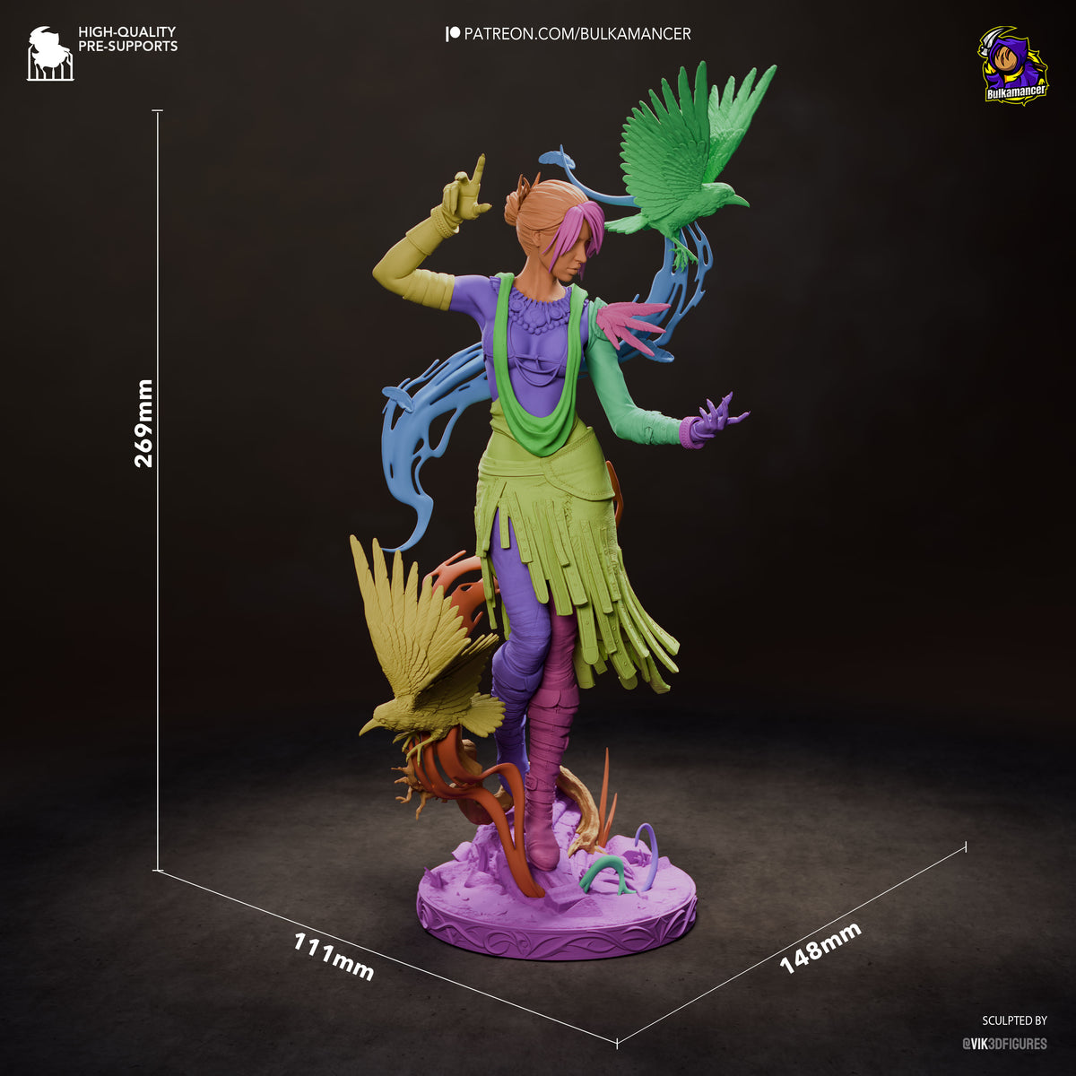 Witch of the Wilds Morrigan